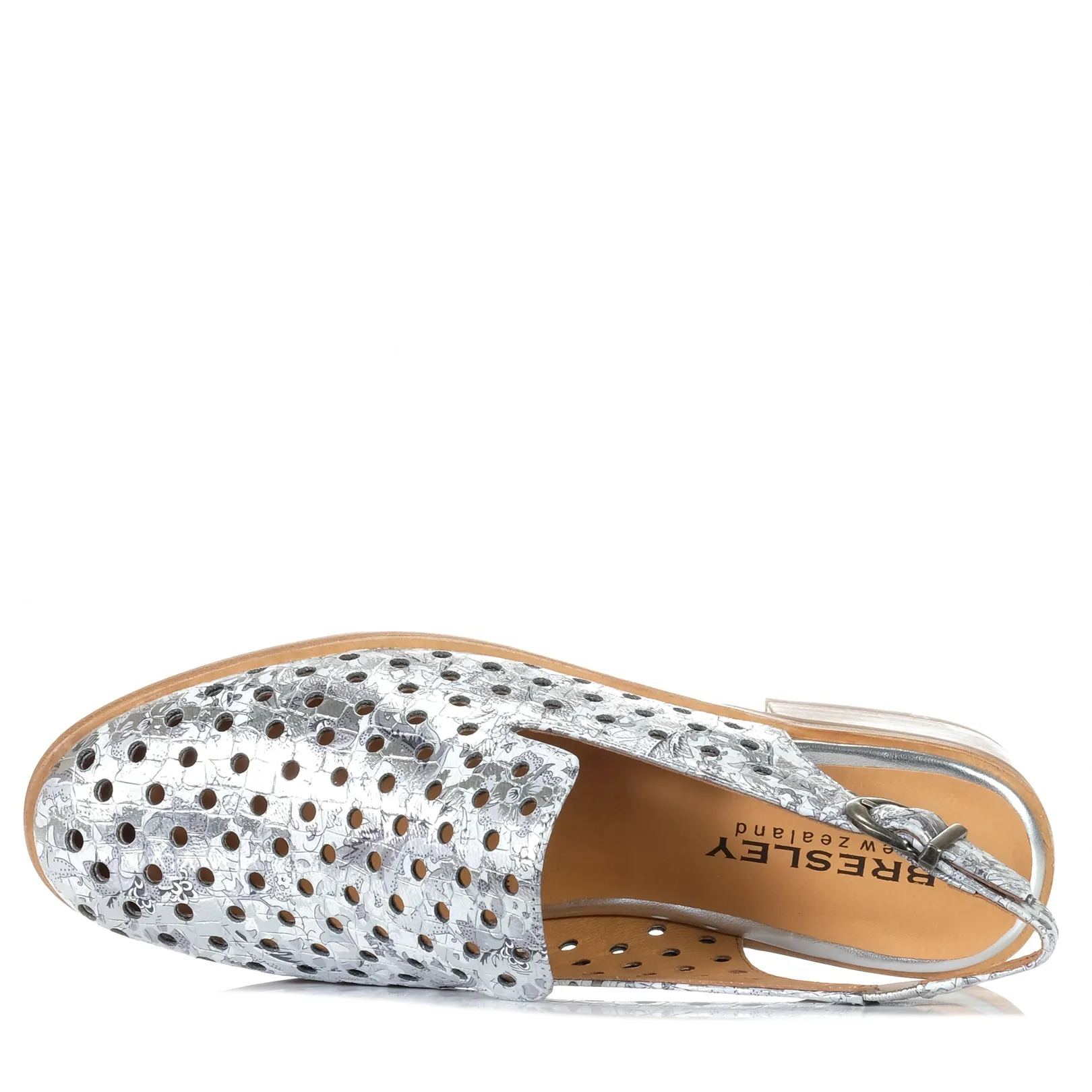 Bresley Asp Silver Dizzy