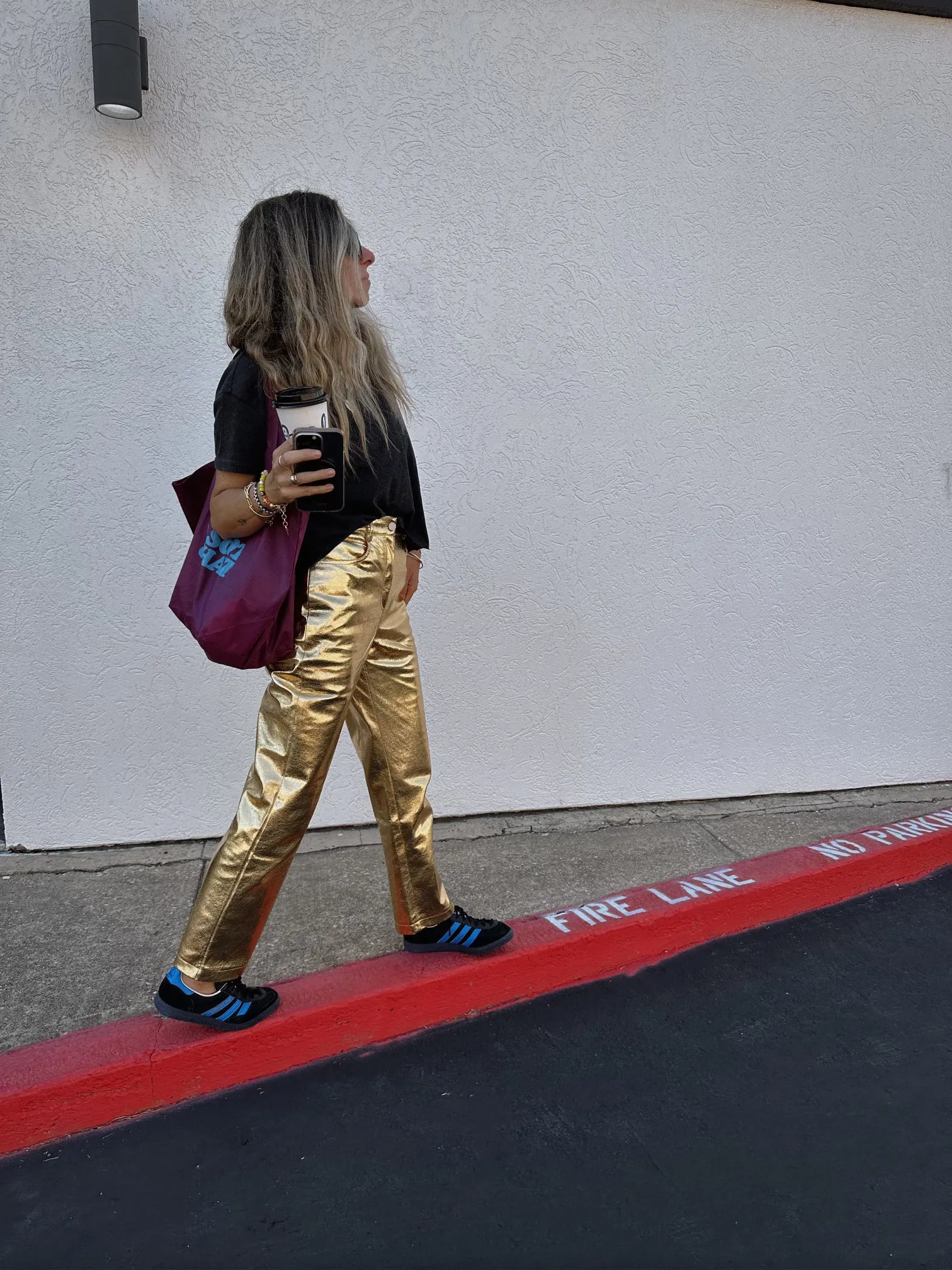 Hailee Metallic Pants