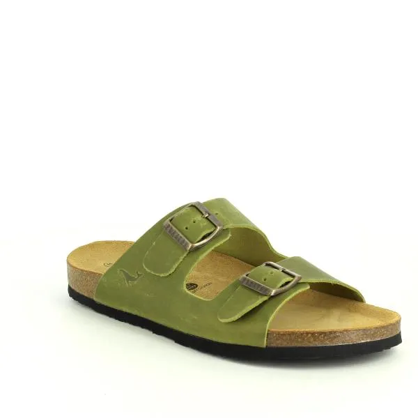 Plakton 180010-OF Pistachio Slides