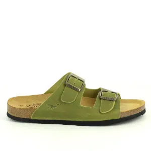 Plakton 180010-OF Pistachio Slides
