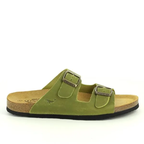 Plakton 180010-OF Pistachio Slides