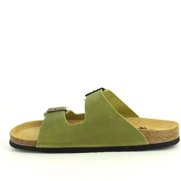 Plakton 180010-OF Pistachio Slides