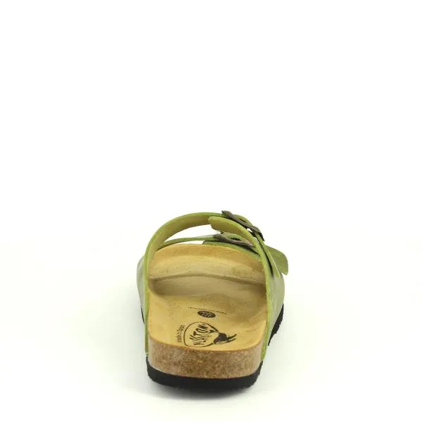 Plakton 180010-OF Pistachio Slides