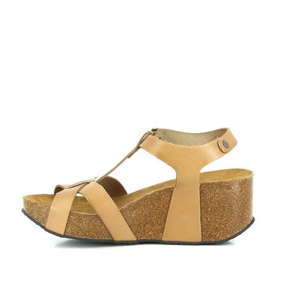 Plakton 273015 Sand Wedges