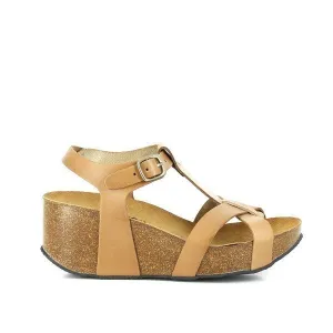 Plakton 273015 Sand Wedges