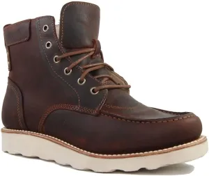 SUPERLAMB DZO - Red Head Safety Toe